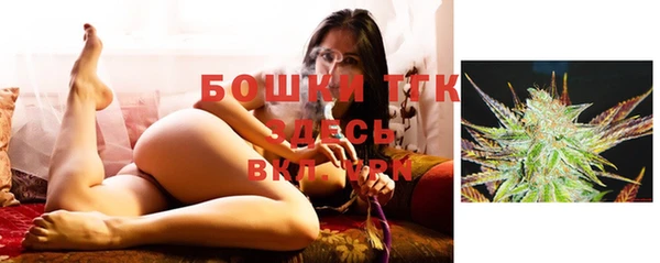 ГАЛЛЮЦИНОГЕННЫЕ ГРИБЫ Осташков
