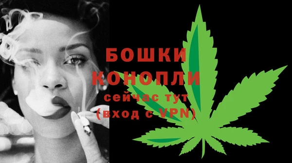 ГАЛЛЮЦИНОГЕННЫЕ ГРИБЫ Осташков