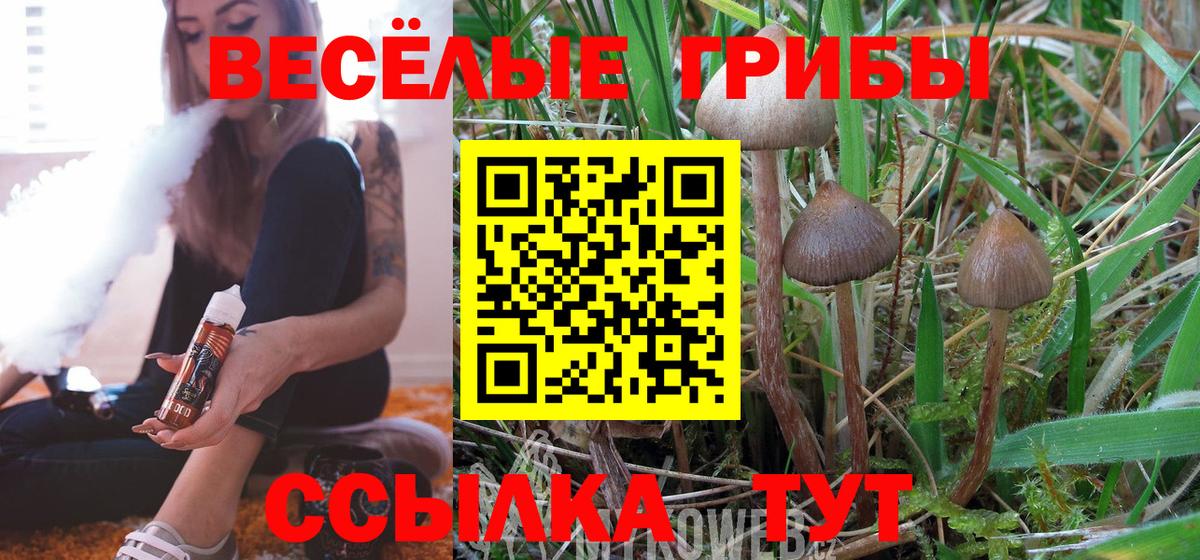 ГАШ  Гашиш  Cocaine  Бийск  Вход с VPN  МДМА  Мефедрон  Меф  A PVP  Каннабис 