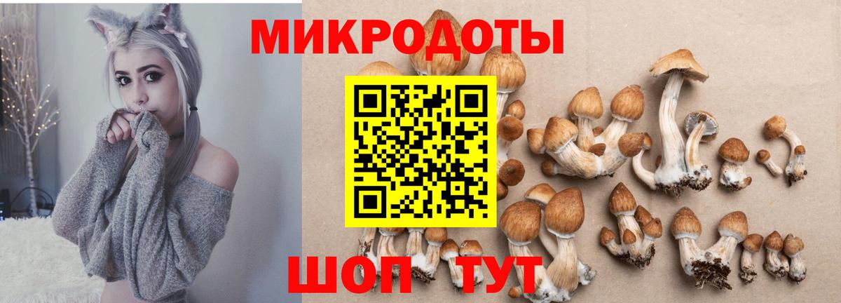 Бийск  Галлюциногенные грибы мицелий  Вход с VPN 
